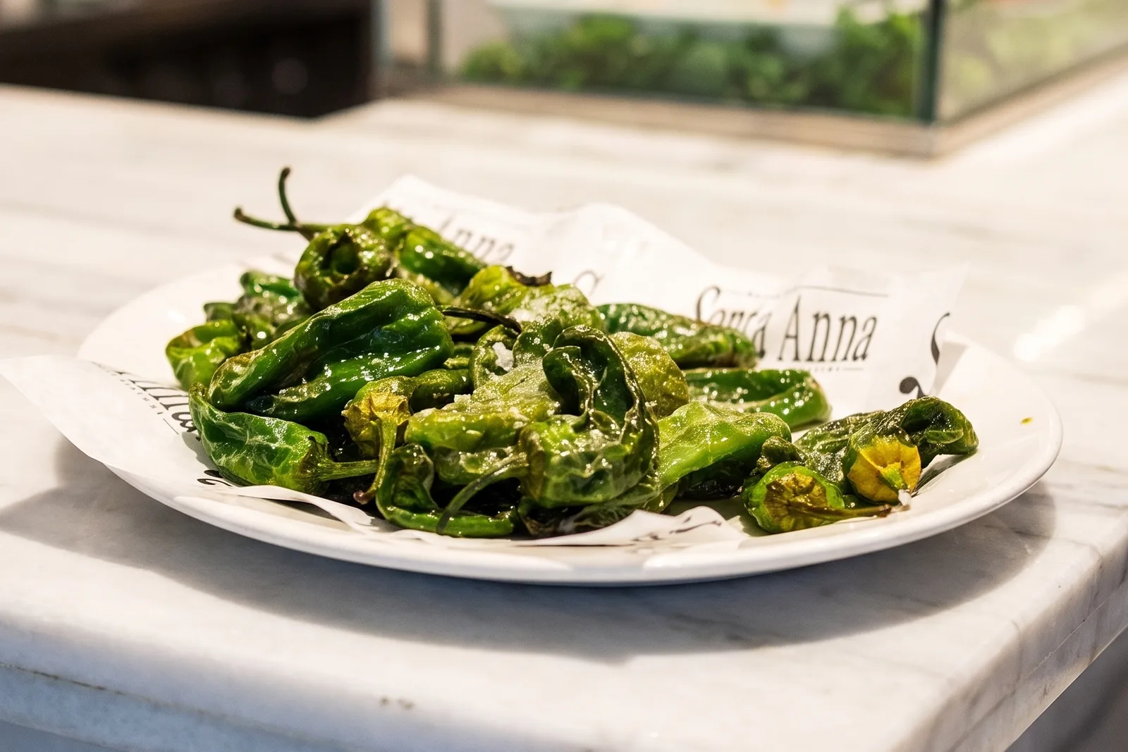 Pimientos de Padrón fritos con sal gruesa, sobre el papel impreso de la casa, en un plato blanco.